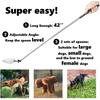 Dog Cat Urine Collector- Telescopic Handled Dog Pee Sample Catcher for Veterinary Supplies, Urine Stick for Small Large Female Dogs Extends To 42"