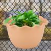 Flower Pot, Garden Planter Floral Container Wall Mounted Planter Vase Pot Portable Flower Vase Container with Tray   Flowers Planter for Garde