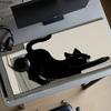 Cute Anime Black Cat Design Mouse Pad Large Computer Office Game Mats Rubber Antislip Gaming Keyboard Mousepad Long Desk Pad