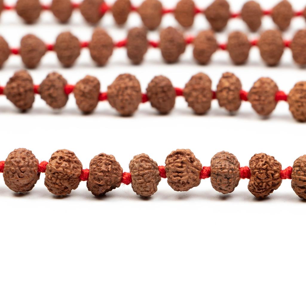 10 Mukhi Indonesian Rudraksha Mala 108+1 Beads |Spiritual Healing Necklace| Meditation Yoga Mala |Authentic Rudraksha Mala for Men & Women