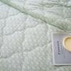 Muxinzi Wormwood Antibacterial Summer Quilt