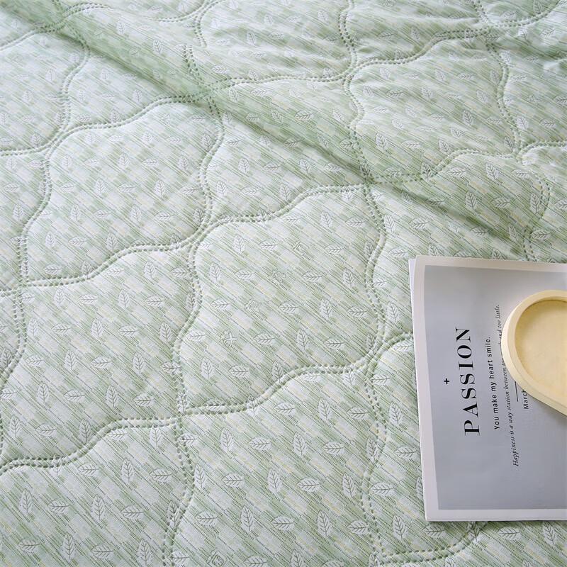Muxinzi Wormwood Antibacterial Summer Quilt