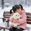 Pecora Giocattolo di Peluche 23cm Morbido Cotone PP Regalo per Bambini e Bambine