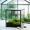 The Cube Shape Moss Glass Terrarium Succulents Desktop Greenhouse Modern Geometric Container Planter for Home Office