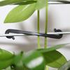 100 Stück Pflanzenranken-Befestigungsclip Fixierclip Gartenpflanzen-Stützclip Kletterranken Klebende Wandklemme Pflanzenclip