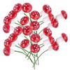 10Pcs 2cm Artificial Mini Mushroom Miniatures Fairy Garden Moss Terrarium Resin Crafts Decorations Stakes Craft
