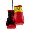 Gants de boxe miniatures - Benlee - Rocky Marciano - Rouge - 11 cm - PVC