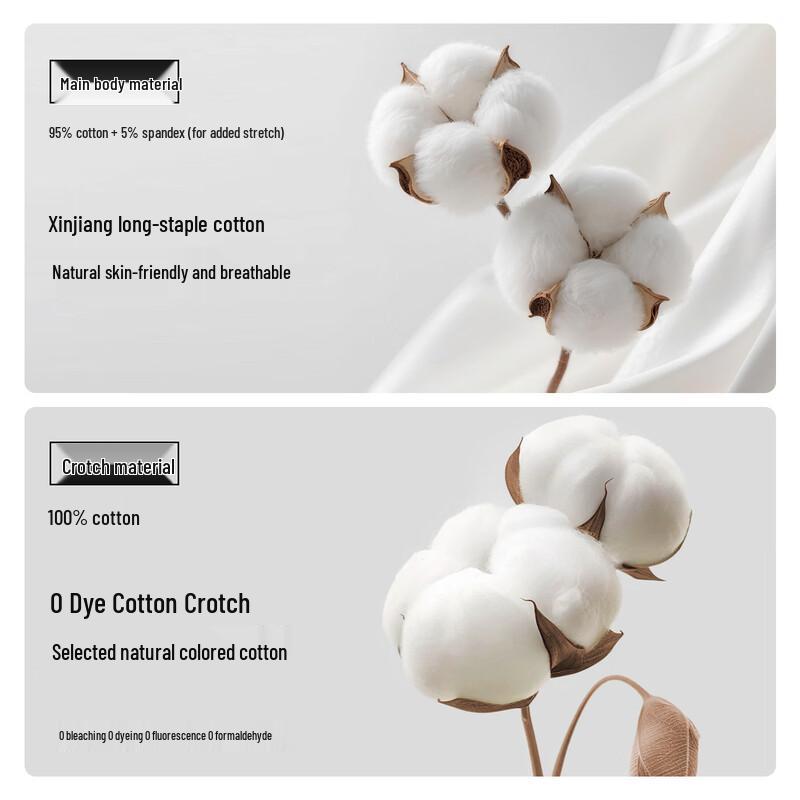 Women's 100% Cotton Antibacterial Mid-Rise Briefs