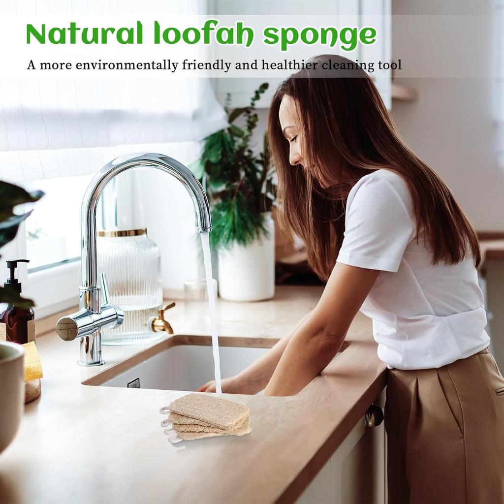 Loofah Dish Sponge 10 PCS Natural Sponges Compostable Natural Loofah Sponges Uses For Kitchen