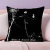 Band D-D-Darkthrones Pillow Case Ultra Soft Skin Friendly Fabric Cloud Like Comfort & Concealed Zipper