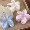 Summer Mint Mambo Plumeria Shark Clip: Gradient Flower Design for a Three-Dimensional High-End Hair Look
