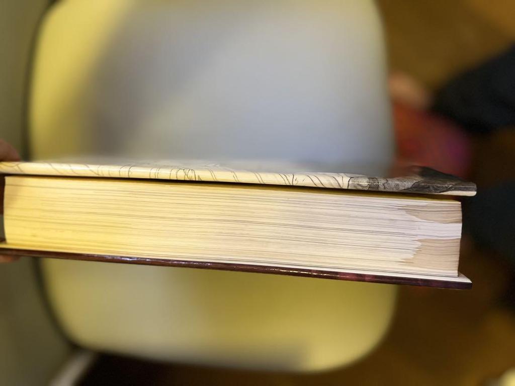 [USED] The Illusion of Life: The Magic of Breathing Life [Foreign Book]