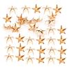 200Pcs Star Rivets 5‑Pointed Star Claw Nails DIY Bags Hats Decoration Accessories 10MMGold