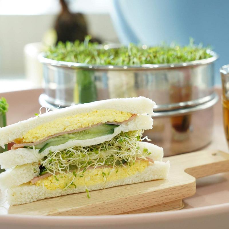 Stainless Steel Sprout Grower 7.8 Inch Stackable 3-Tier Sprouting Trays Round Sprouting Grower Microgreens Propagator