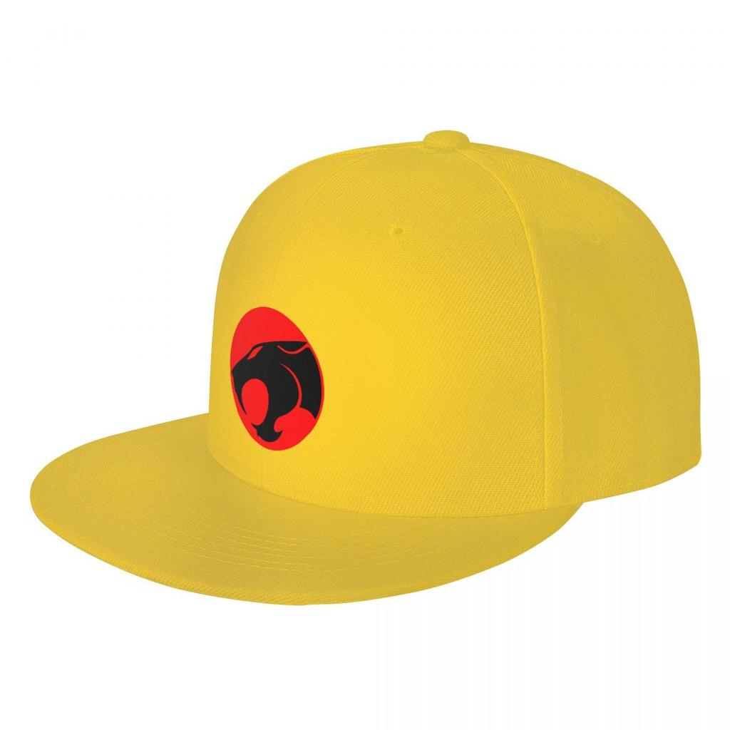 Classic Cartoon Anime Thundercats Hip Hop Baseball Cap Women Unisex Custom Snapback Adult Dad Hat Spring