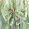 Summer Children Mesh Suspenders Girls Fashion Bow Cute Dress