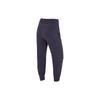 Nike Solid Color Elastic Waist Cuffed Sports Casual Pants Women Bottoms Purple DV9454-015