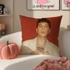 Hot Buenas VSinger QQuevedo Buenas Cushion Cover Pillowcase Short Plush Invisible zipper Room Sofa Cushion Cover
