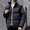 Mens Thickened Down Jacket Stand Collar Casual Winter Coat Black Nylon 50% Duck Fill