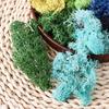 Mini Landscape Home Ornaments Fake Flowers Garden Decoration Artificial Plants Moss Eternal Moss