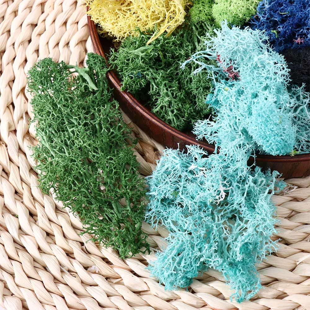 Mini Landscape Home Ornaments Fake Flowers Garden Decoration Artificial Plants Moss Eternal Moss