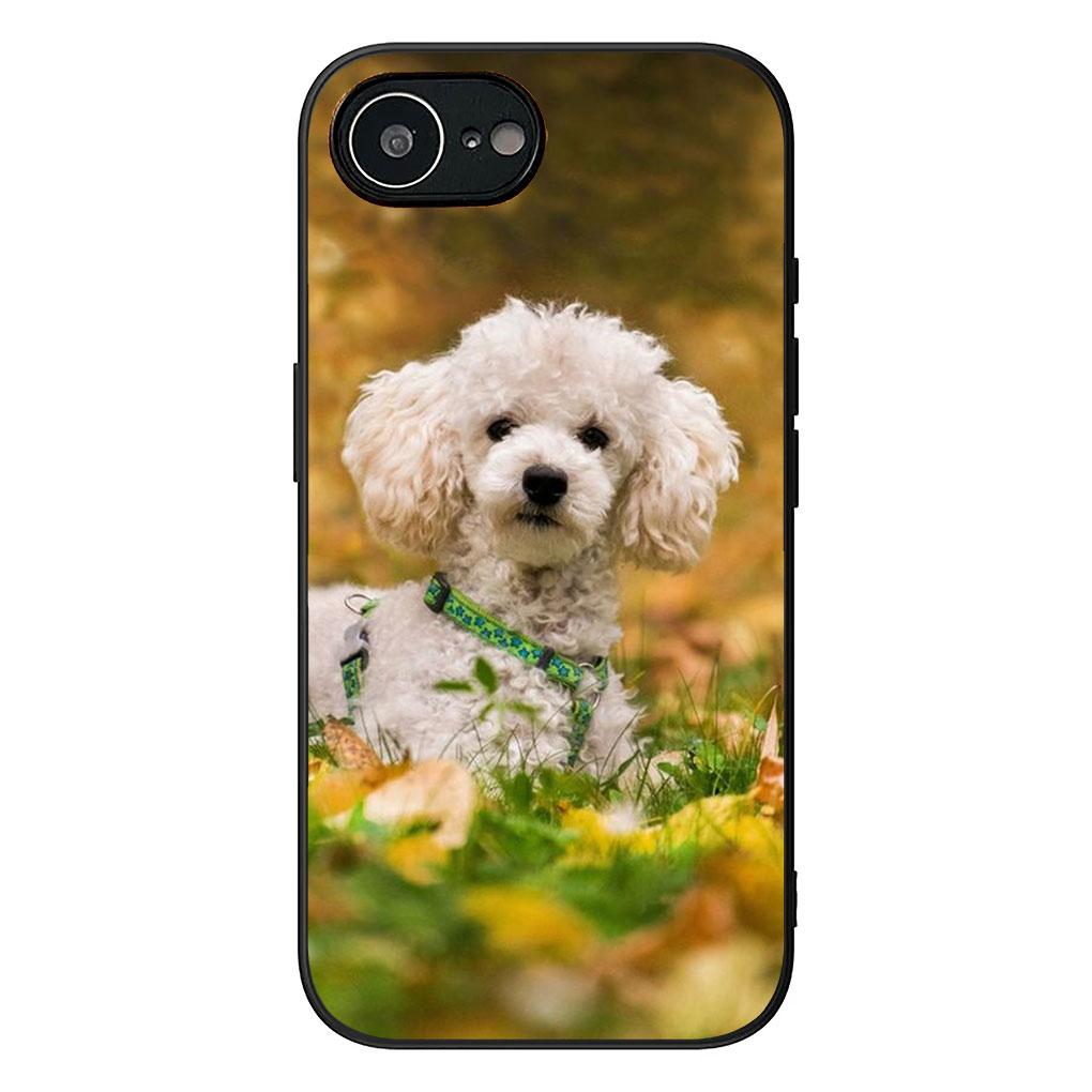 Soft Cover for Apple iPhone 13 12 Mini XS 11 Pro Max 7 8 Plus + XR SE 2022 2020 SE3 Coque Phone Case Pomeranian Poodle Dog