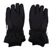 Winter Rainproof Ski Gloves Thermal Touchscreen for Men Women Insulation Extended Wrist Snow Sports Riding Black