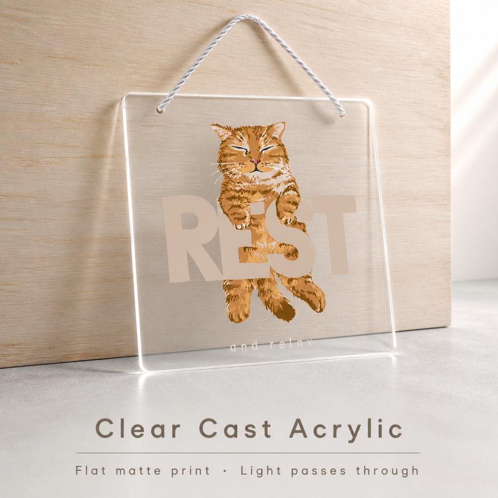 Square Clear Acrylic Wall Plaque Cat Art 20x20cm Smooth Edge Hanging Sign Home Decoration