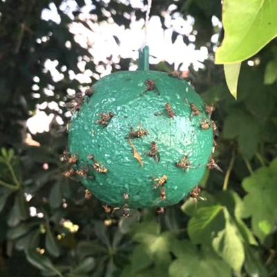 Confezione da 10 Flyball Adesivo forte Antipioggia Resistente al sole Cattura facilmente insetti Moscerini dei funghi Trappole per mosche della frutta