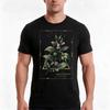 Belladonna Deadly Nightshade Magical Herbs Tshirt Summer Casual Cotton Tee Oversized Streetwear Tops Vintage Graphic Print