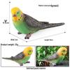 Children's Static Wild Animal Bird and Parrot Figure Set