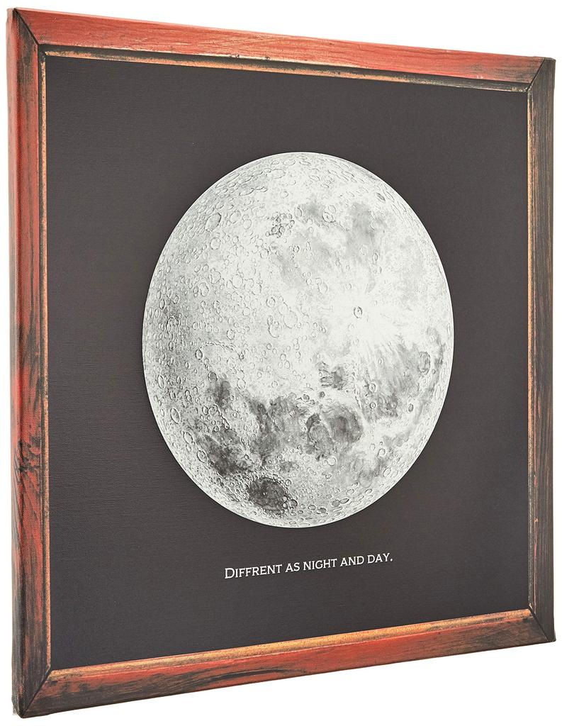 Lib Moon Space Fabric Panel 57cm Canvas Art Black Interior Decor Made Japan