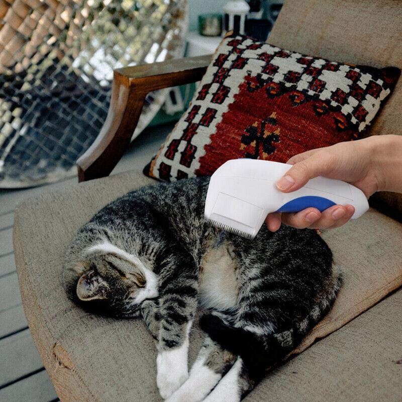 Buy Flea Doctor Electric Flea Comb for Dogs Cats Pet Brush Anti Tick