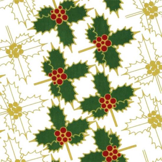 Dyeing Anbo Hand Towel Authentic Dyed Cotton Tokuoka Made in Japan 35cm x 100cm "Ayahiiragi Red-Green" 100%