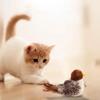 Interactive Cat Toys Flying Bird Cat Toy Flapping Wings Sparrow Catnip Toys Vivid Chirpi]Ng Simulation Bird Interactive Cat Toy