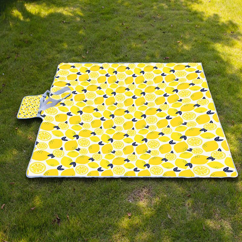 Geometric Waterproof Thickened Picnic Mat 148x148cm