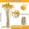 BHBL 48 Pcs Dried Flowers Dried BillyBalls Dried Craspedia Flowers Button Yellow Dried Flowers Fake Silk Dried Flower
