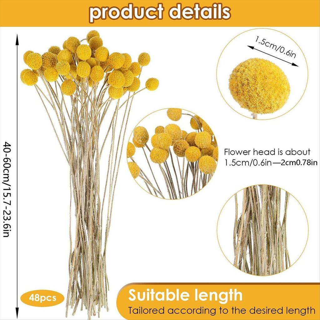 BHBL 48 Pcs Dried Flowers Dried BillyBalls Dried Craspedia Flowers Button Yellow Dried Flowers Fake Silk Dried Flower
