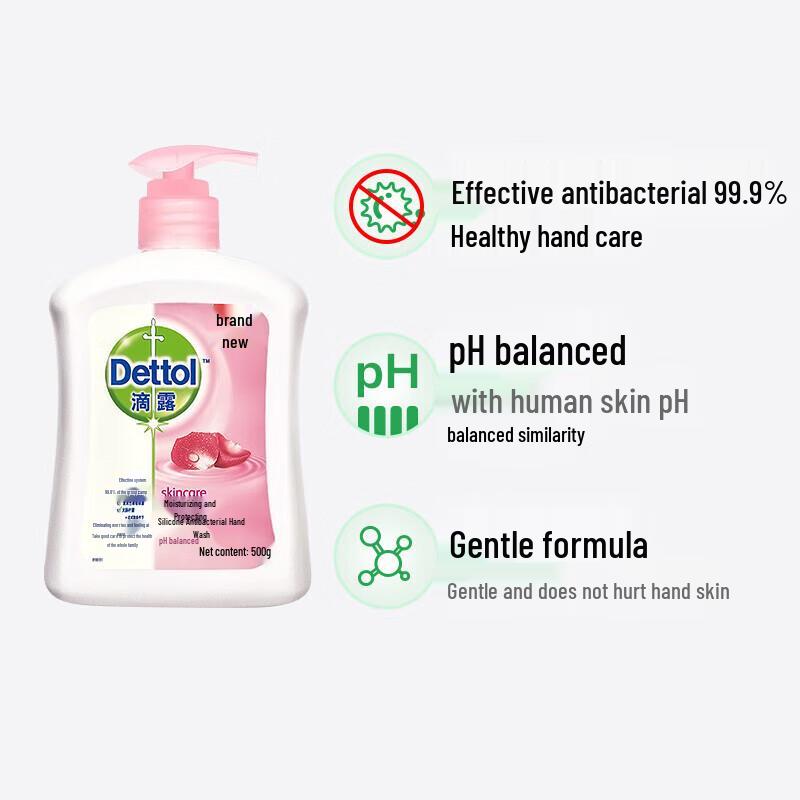 Dettol Moisturizing Hand Wash Bulk Pack