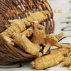 English Title: 8 Year American Ginseng Powder Changbai Mountain Pure West Ginseng Herbal Tea