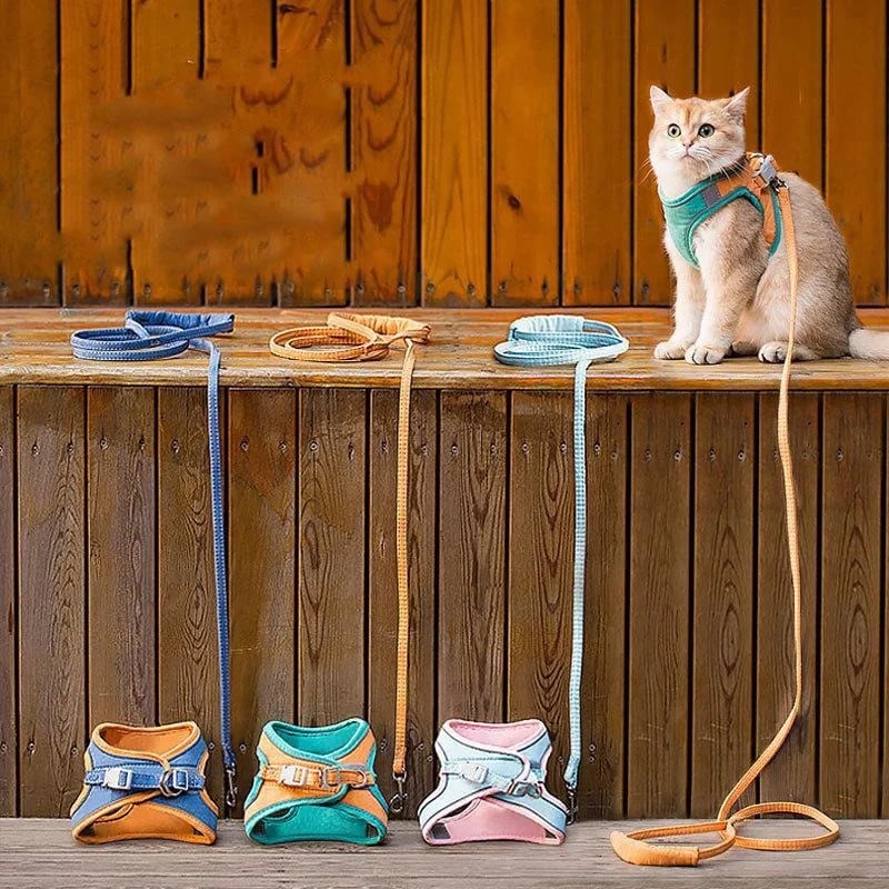 Kattväst och bälteskit Husdjur Dragrep Sele Koppel Halsband Justerbar Dubbellagers Hundsele Smådjur Utomhus Halsband Koppel