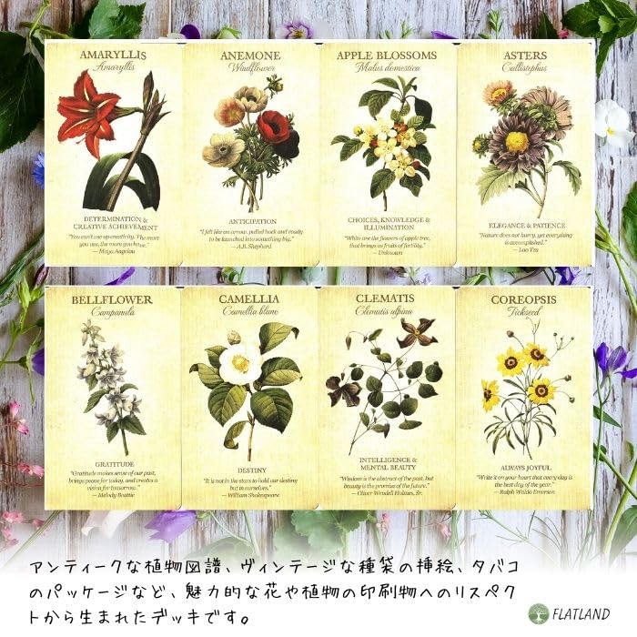 Botanical Inspirations Deck (Authentic Oracle Cards, Flower Fortune Telling, Flower Language) with Japanese Instructions