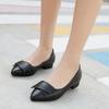 Pointed Toe Low Heel Elegant Ladies Pumps Black Work Women's Shoes Wholesale Quick Delivery Fashion Promotion Slip On Footwear