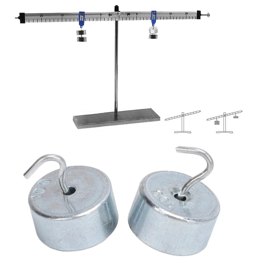 2pcs 10g Lab Hook Weight Chrome Plated Steel Double Hooked Weight with Case For General Science Phys