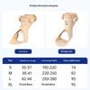 Knob Adjustment Plantar Fasciitis Splint Brace Buckle Compression Dorsal Drop Foot Orthopedic Brace Skin-Friendly Airbag