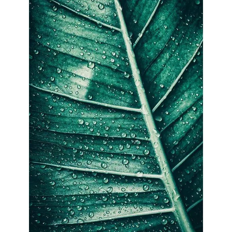 Bohemian Watercolor Tropical Plant Canvas Painting Monstera Banana Leaf Eucalyptus and Fern Art Posters Aesthetic Bedroom Decor