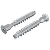Confirmat Screws 2 Pcs Silver Ø7 X 50 Mm Metal