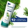 Himalaya Anti Dandruff Tea Tree Conditioner For All Hair Types 80ml – Nourishes, Smoothens, Reduces Breakage, Leaves Hair Soft And Healthy