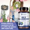 Wild Blueberry Strength 10:1 Extract Capsules - Antioxidant,Vision Health