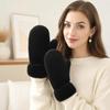 1pair Windproof Imitation Rabbit Fur Gloves Thickened Winter Mittens Simple Plush Gloves  Women